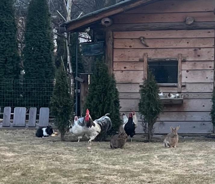 B&B Casa Il Sasso Pinzolo Bagian luar foto